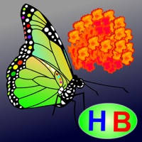 The story of Flower and Butterfly (Untold toddler story from Hien Bui)