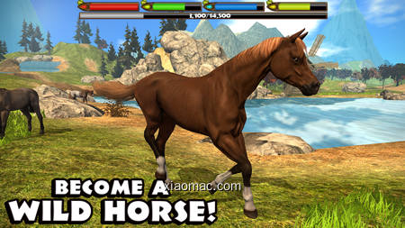 【图】Ultimate Horse Simulator(截图1)