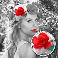 Color Touch Magnify Color Touch Magnify