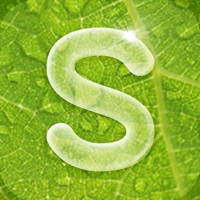 시드물 화장품 시드물 화장품