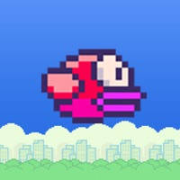 Flying bird – impossible bird