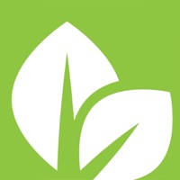 Renew Life Church
