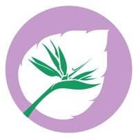 Floristería Hojas Blancas Floristería Hojas Blancas