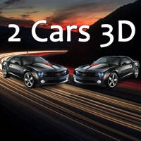 2Cars 3D endless