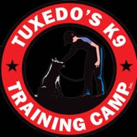 Tuxedo’s K9 Training Camp