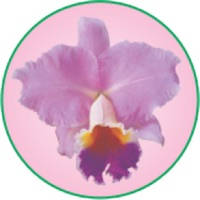 Jardin Kennedy App Jardin Kennedy App