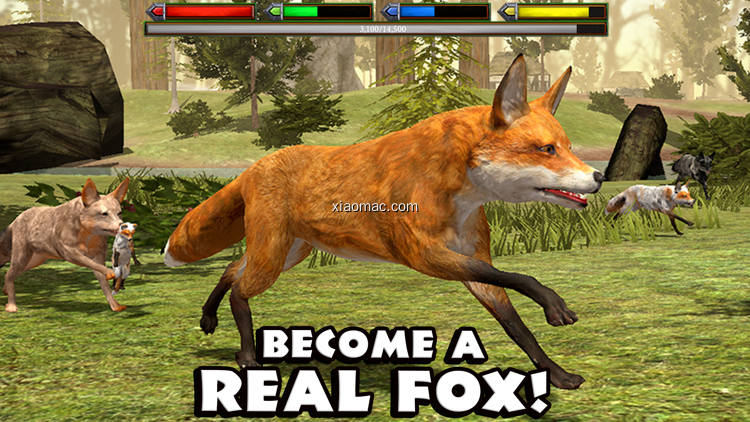 【图】Ultimate Fox Simulator(截图1)