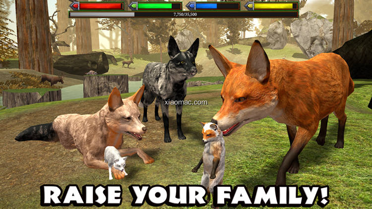 【图】Ultimate Fox Simulator(截图2)
