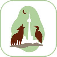 Wildlife Help – Toronto Wildlife Centre Rescue Injured, Sick & Orphaned Wild Animals