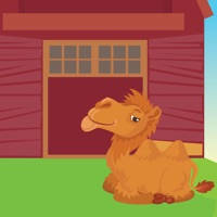 Harry n’ Friends – Farm Fun