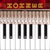 Hohner Piano Accordion