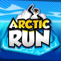 Arctic Run 3D Arctic Run 3D
