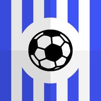 All The News – Brighton & Hove Albion Edition