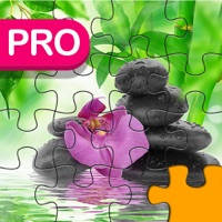 Beautiful Jigsaw Pro – Quest Of Puzzles 4 Kids