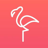 Flamingo – Teach Language