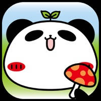 パンダのたぷたぷ　～ぶんしんキノコでみんながいっぱい！？