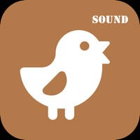 AnimalSound – English study