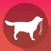 Dog Walking – Training with your Dog (GPS, Walking, Jogging, Running)
