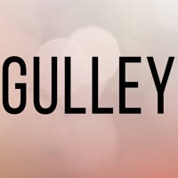 Gulley Bail bonds Gulley Bail bonds