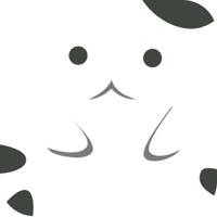 接住那只猫 接住那只猫