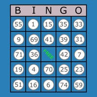 Classic Bingo Touch