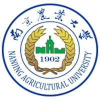 M南农教师