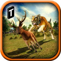 Adventures of Wild Tiger