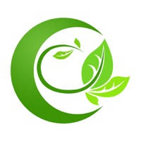 四美园艺,资源丰富的综合性花卉企业。
