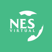 NES Virtual NES Virtual
