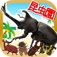 とびだす昆虫園-ムシ図鑑