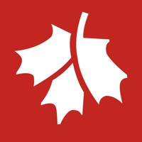 红枫湾 – 领先的艾滋病移动健康应用平台
