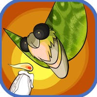 成语词典 – 全民最强大脑龙之谷接龙游戏