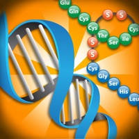 Biology Molecular Genetics P