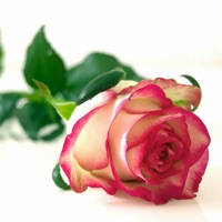 Love poem