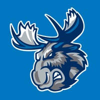 Manitoba Moose Manitoba Moose