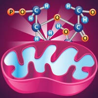 Biology Cellular Respiration P