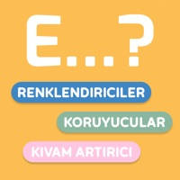 E-Numaralar