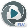 FLV Converter Pro