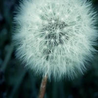 Wish’List – Keep Your Wishes In One Place.