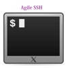 Agile SSH Client – GUI for SSH which support public/private keys authentication and multiple windows sessions Agile SSH Client – GUI for SSH which support public/private keys authentication and multiple windows sessions