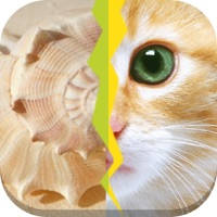 2 Pics 1 Word – What’s the Word?