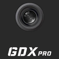 GDXpro