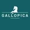 Gallopica Reiten
