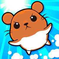 Let’s Answer! Hamster Race Let’s Answer! Hamster Race