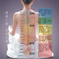 脊柱图解 – 脊柱相关疾病图解大全