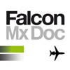 Falcon Maintenance Doc