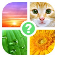 4 Pics: What’s the Word?