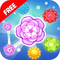 Bloom Flower Mania – Match Flowers Color Blast