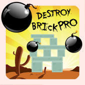 Destroy Brick Pro