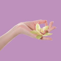 Learn Reiki Learn Reiki